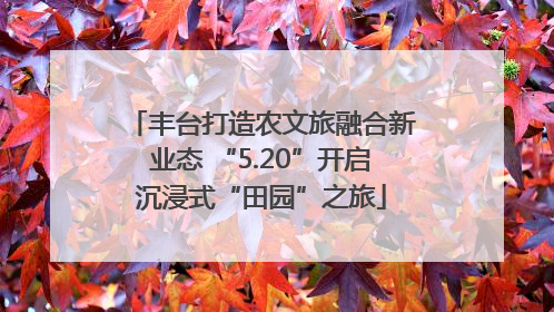 丰台打造农文旅融合新业态 “5.20”开启沉浸式“田园”之旅